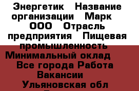 Энергетик › Название организации ­ Марк 4, ООО › Отрасль предприятия ­ Пищевая промышленность › Минимальный оклад ­ 1 - Все города Работа » Вакансии   . Ульяновская обл.,Барыш г.